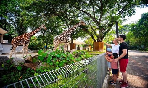 zoo-negara-4